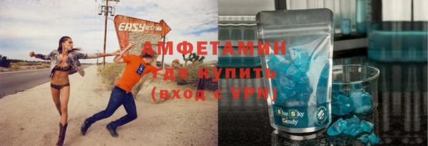 гидра Надым
