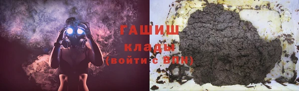 гидра Надым
