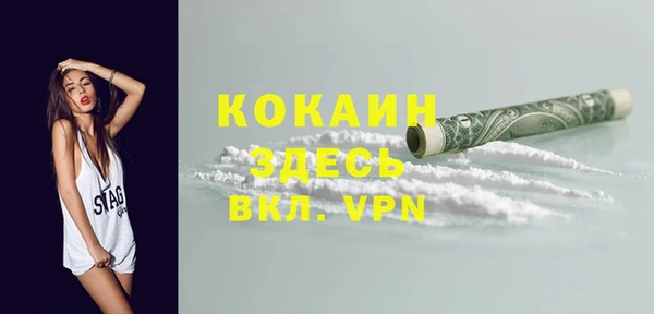 гидра Надым