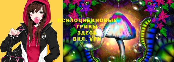 герыч Михайловск