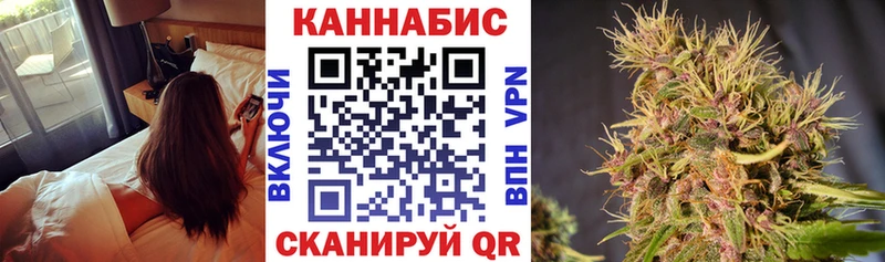 Бошки марихуана планчик  наркошоп  kraken сайт  Торжок 